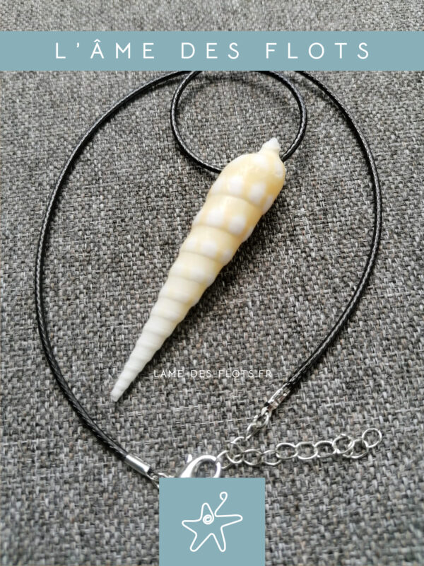 Collier coquillage Terebra